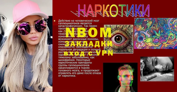 сатива Аркадак