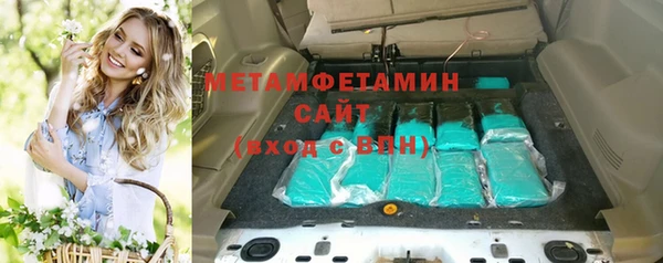сатива Аркадак